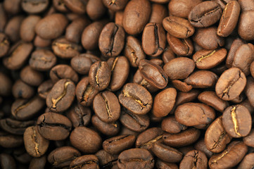 coffee beans