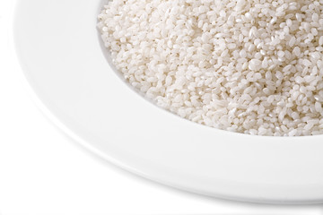 plato de arroz