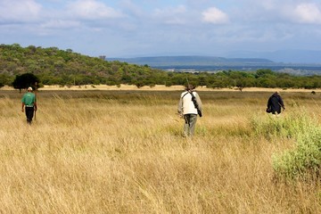 Tracking