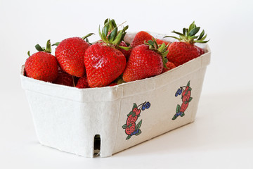 Frische Erdbeeren