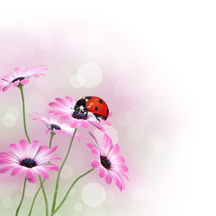 Flowers with ladybird and copy space
