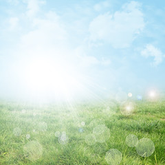 Abstract spring or summer background with meadow