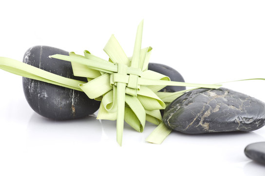 rameaux de p&acirc;ques zen