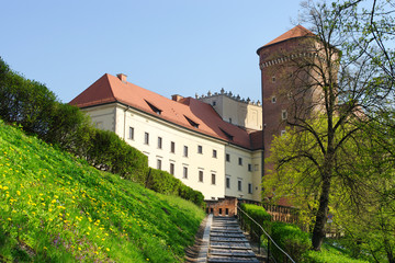 Fototapeta premium Patch to Wawel castle in Krakow, Poland