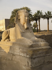 Avenue of Sphinxes in Luxor in Egypt