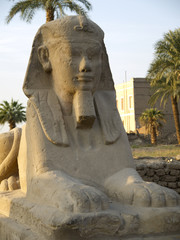 Avenue of Sphinxes in Luxor in Egypt