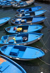 Fototapeta na wymiar fish boats in an italian harbour