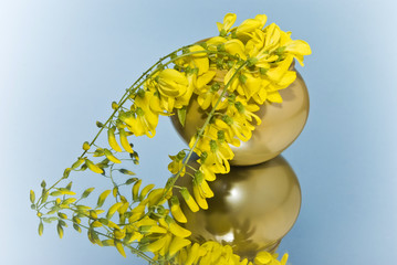 beautiful spring flowers in a vase, mirror image