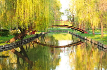 Bridge over water in park
