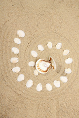 pearl on the seashell .