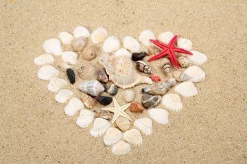Fototapeta na wymiar heart made with shells