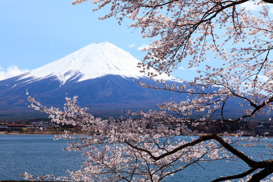 富士山　河口湖にて