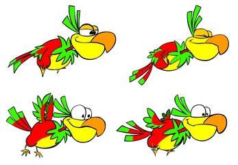 Funny flying parrots.