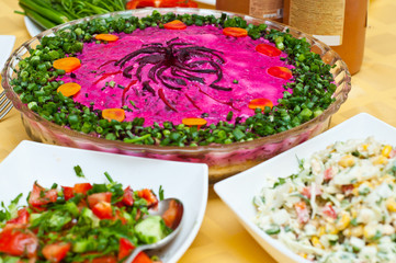 russian traditional sish salad on white background