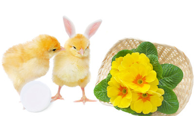 chicken with egg and bizarre bunny with basket