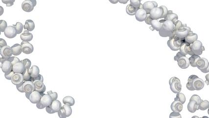 Champignon mushrooms flows