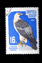 00th anniv. of the Moscow zoo