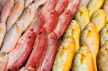 fresh fish at a fish market