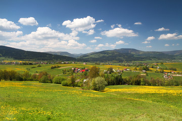 Spring landscape