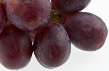 grains de raisin