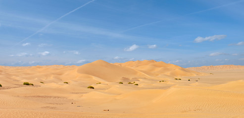 Wüste mit fantastischem Himmel