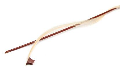 broken violin bow