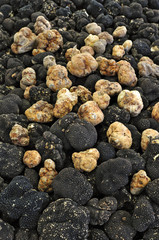 black and white truffles