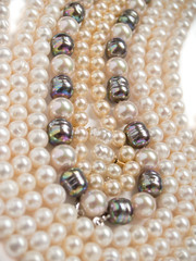 pearls necklaces jewelry, isolated over white background