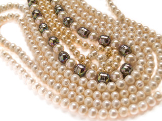 pearls necklaces jewelry, isolated over white background