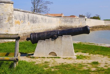 Île d'Aix : canon