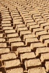 Bricks drying in sun in Africa