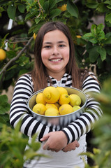Girl picking lemons from the tree © JF Gicquel