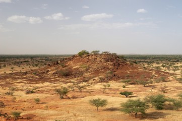 Fototapeta na wymiar Skocznia w afrykańskiej sawanny