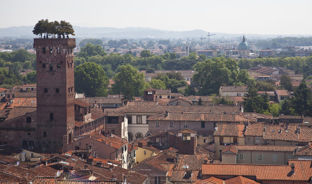 Lucca e Torre Guinigi