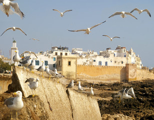 Essueirra city ( Unesco heritage).Morocco