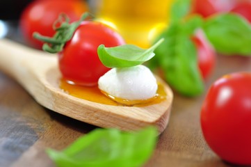 Mozzarellakugel mitTomaten und Basilikum