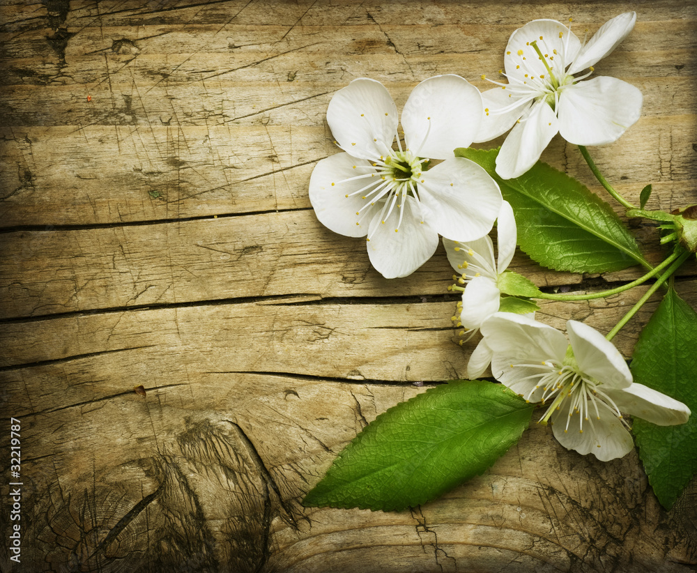 Sticker Spring Blossom over wooden background