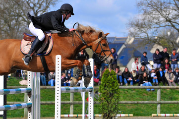 Horse Jump