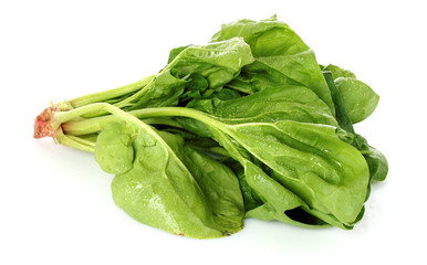 Bunch of spinach isolated on white background