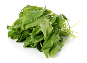 Fresh leaves of a sorrel on a white background