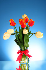 isolated tulips in a glass vase