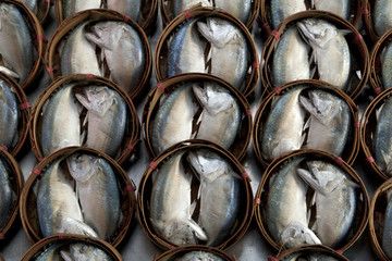 Fresh tuna in market, thailand