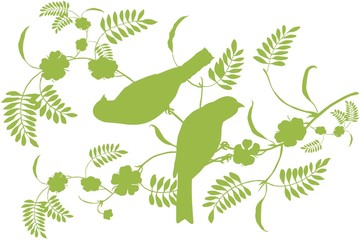 Naklejka premium bird