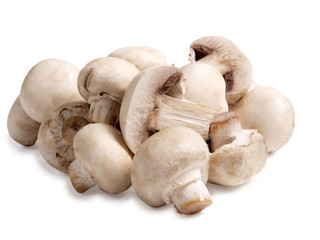 Champignon on white