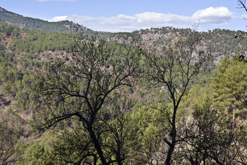 Valle de Iruelas