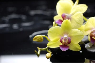 Fotobehang Oriental spa with yellow orchid on pebbles © Mee Ting