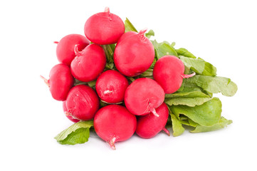 fresh radish