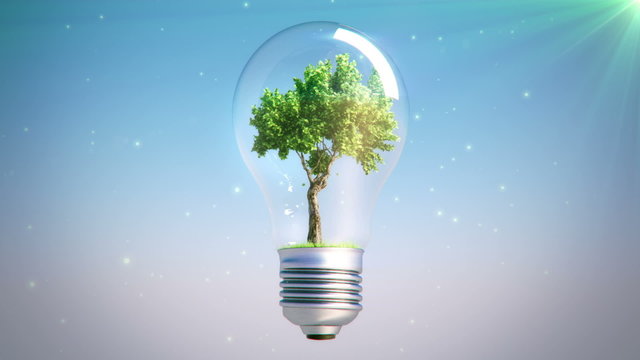 new energy bulb tree loop