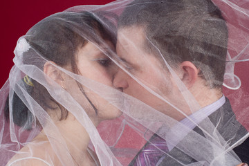 Kissing Couple newlyweds behind wedding veil