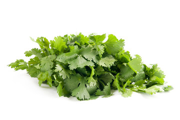 coriander on a white background